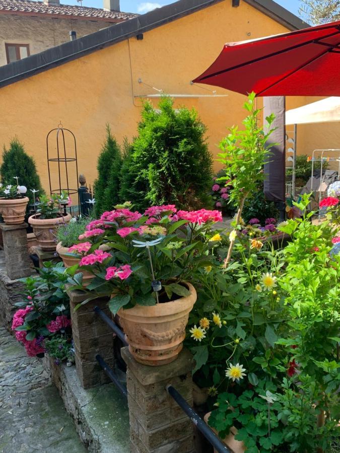 Appartement Ferienhaus, Rustico Auf Burg à Locarno Extérieur photo